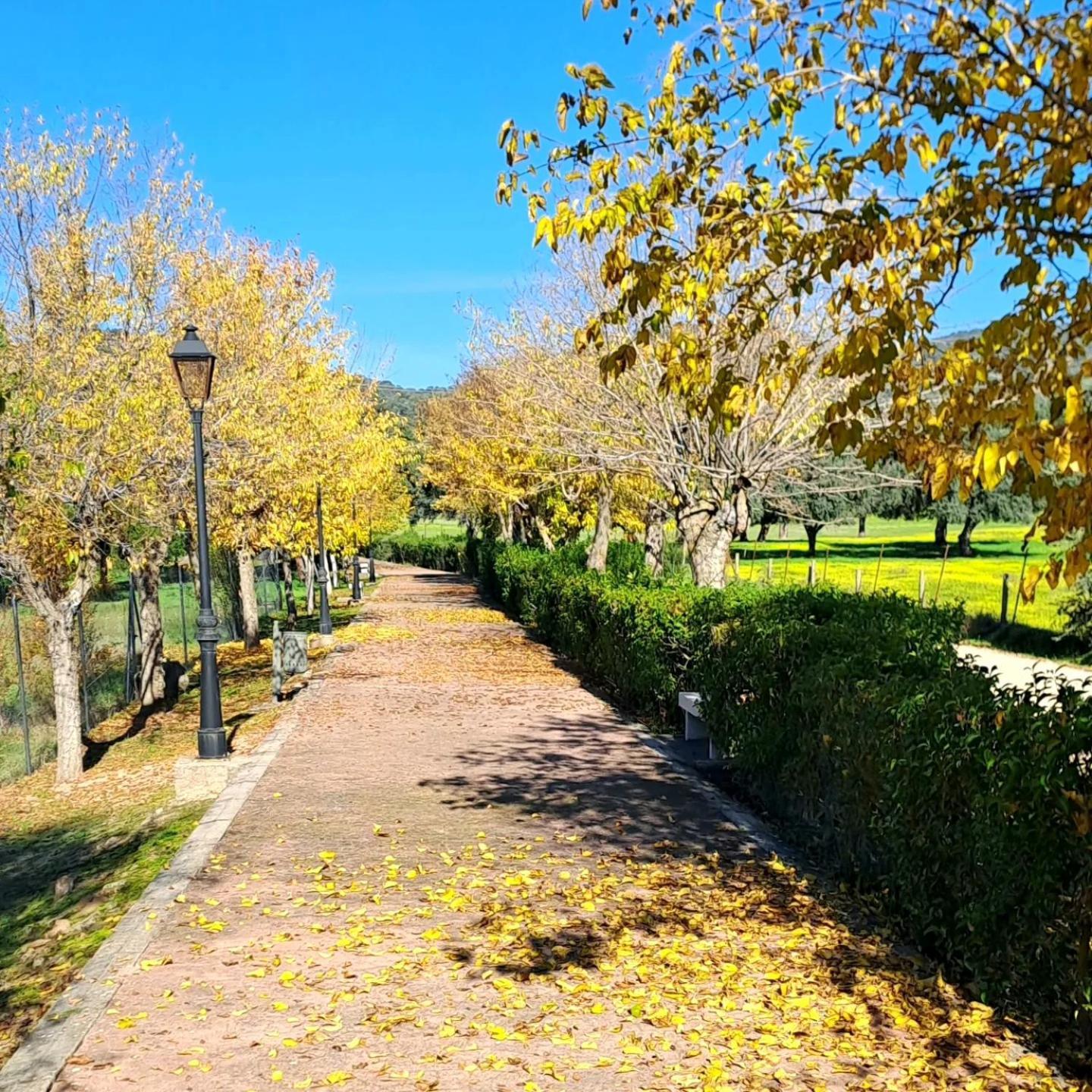 Casa El Frenazo Pension Garciotum Buitenkant foto